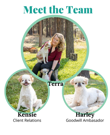 The team:Terra, Harley, & Kensie